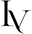 LA VESTRA LV monogram
